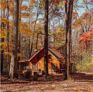 Stay Saluda cabin